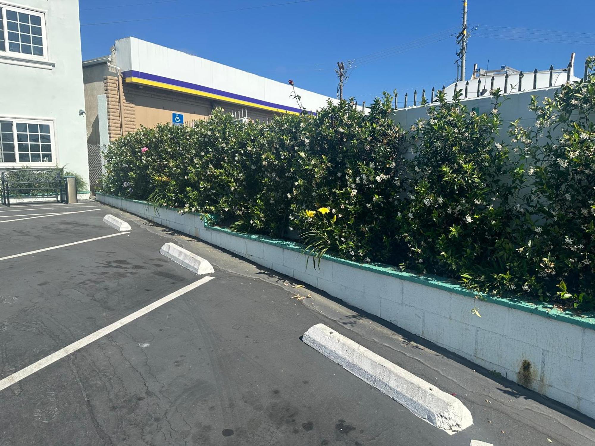 Super 8 By Wyndham Oceanside Downtown Exterior foto